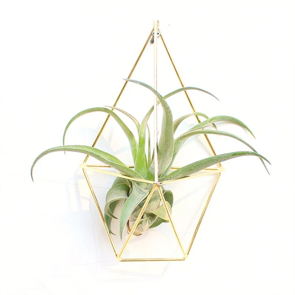 Европейский товар трехмерный держатель для стен в виде растений суккулентов