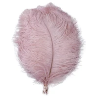 leather pink ostrich feathers 15 60cm6 24decoration for wedding holiday party home room accessories diy craft plumes 10 pcs