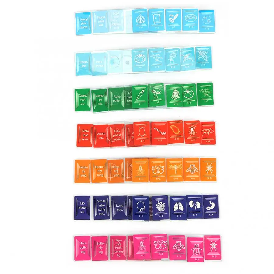 Стеклянные слайды подготовленные для микроскопа лабораторные образцы набор