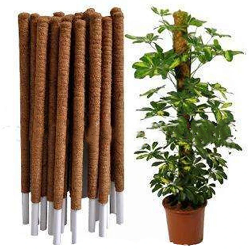 30/40 см Coir Moss Totem Pole Stick для криперов растительная поддержка расширение альпинизма