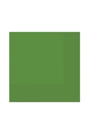 

20li Birthday Party Napkins Green 452321295