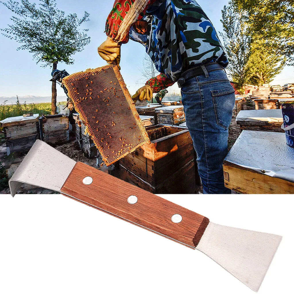 

Beehive Tool Bee Scraper For Beekeeper Take Honey Knife Beekeeping Equipment Apiculture Uncapping Beekeeping Tools #T2P