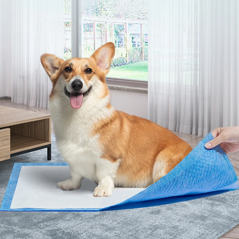 Pa&ntilde;ales superabsorbentes para mascotas, almohadilla para orina de perro, desodorante para limpieza de cachorros, suministros para mascotas, 20 Uds.-2