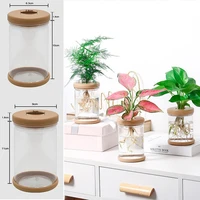 1pcs plant pots clear hydroponic flower pot decorate plants planter for grow small potted plants wall decoration countyard garde