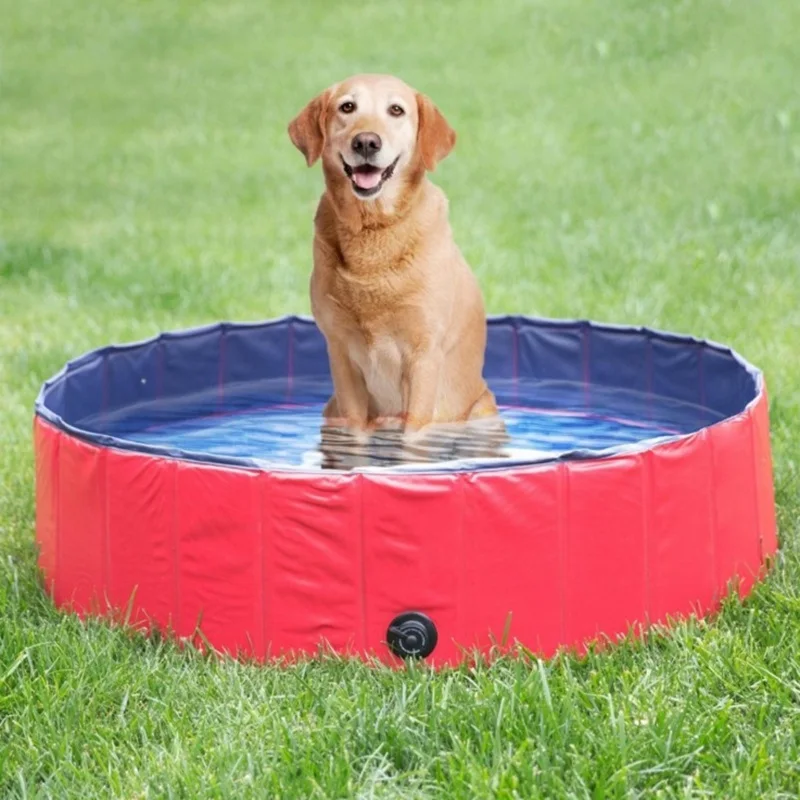 

Foldable Dog Swimming Pool 160 Cm Swimming Pool For Dogs Big-Size Collapsible 4 Seasons Pet Playing Tub Bathtub Outdoor Indoor