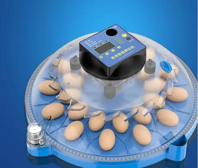 12V/240V Incubator incubator Smart parrot bird egg incubator LCD display 9/12/16/24/36/48 cps