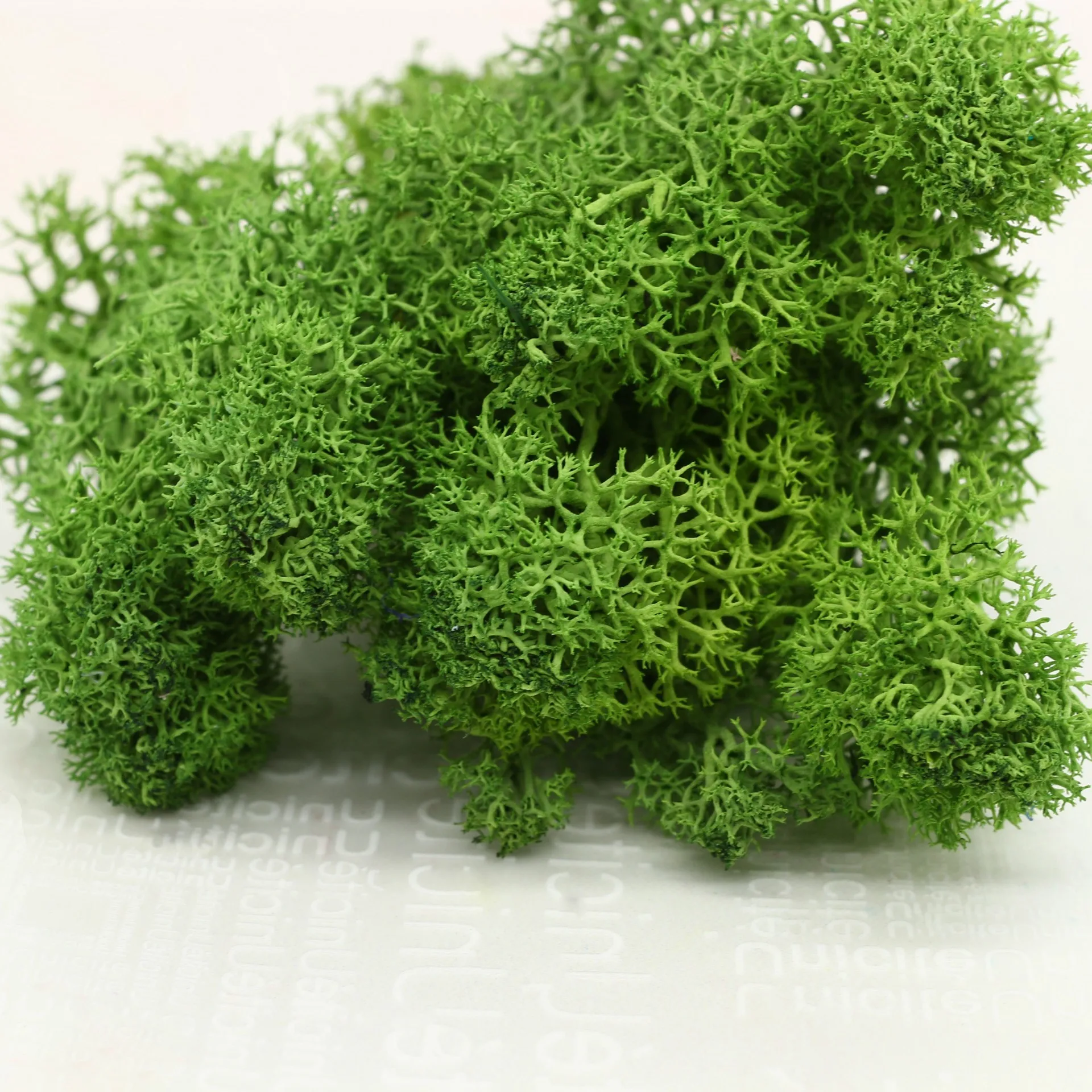 торт лесная поляна ссср. фитостена моховая. мох украшение. панно из мха. стабилизированный мох леонардо.