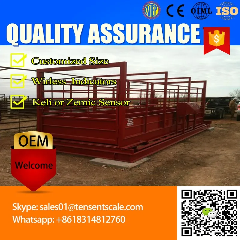 

pet weigh scale electronic digital balance checking cattle