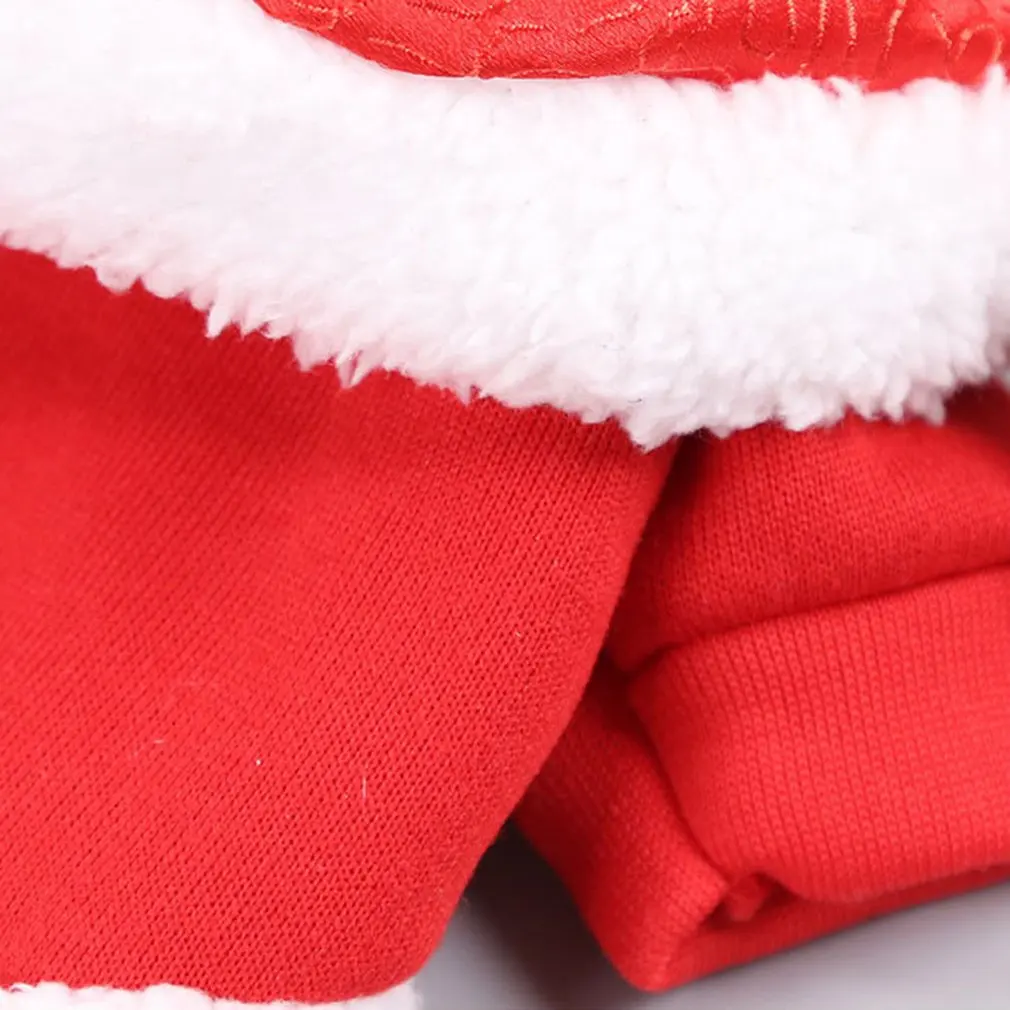 

New Year's Pet Cloak Mammon Dog Cat Clothes Pet Clothes Supplies Autumn And Winter Warm Handsome Two-legged Pet Clothes