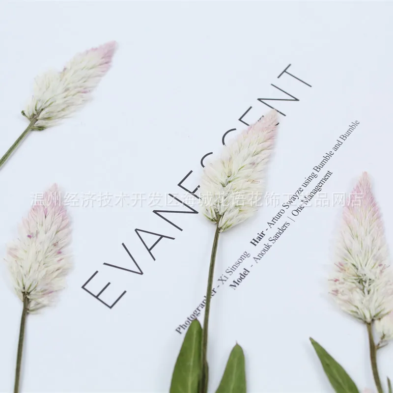 Фоторамка с высушенными цветами клей для самостоятельной сборки | Украшения и