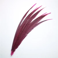 the new 50pcslot elegant natural pheasant feathers for craft 24 28 inch60 70cm christmas diy for celebration plume