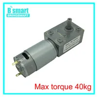 Bringsmart 5840-31zy двойной вал двигателя 24 В DC червячный мотор-редуктор 4 в DC редуктор двигатели с высоким крутящим моментом обратный самозамок для робота