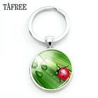 Брелоки TAFREE с зелеными растениями и красными Божьими коровками, весенние натуральные цветы, насекомое, круглый подарок для парня, ювелирные Брелоки NT125