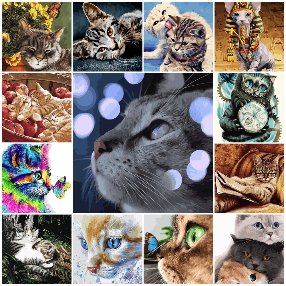 

DIY Painting By Numbers Cat 40x50cm HandPainted Oil Painting Drawing On Canvas Kill Time Unique Gift Home Decoration