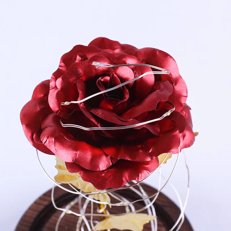 Средняя красота и чудовище Роза в стеклянном куполе навсегда красная роза