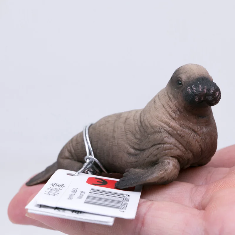 

CollectA Wild Life Animals Polar Regions Ocean Walrus Calf Baby PVC Plastic Figure Toys #88570