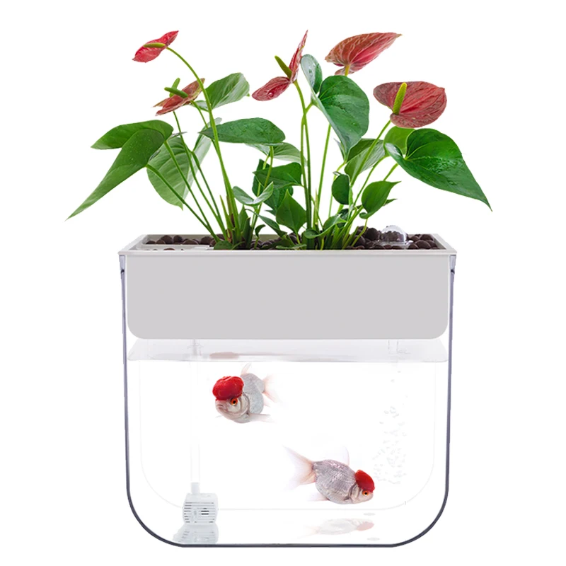 

Новинка ультрапрозрачный пластиковый аквариум Aquaponic Betta аквариум Настольный экологичный аквариум для украшения помещений