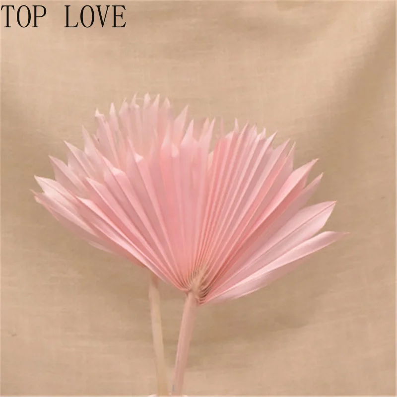 Сушеный цветок веер для пальмы листья растения Подсолнух украшение дома