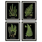 Плакат черный папоротник, печатный Зеленый папоротник, листья, ботаническое искусство, античный папоротник, кухонный Настенный декор, домашний декор, ботанический Настенный декор