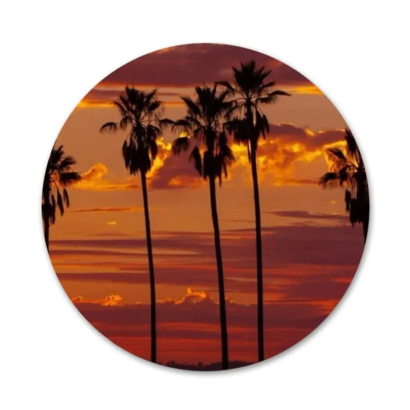Значки с кокосовым деревом и закатом чайки 58 мм | Дом сад