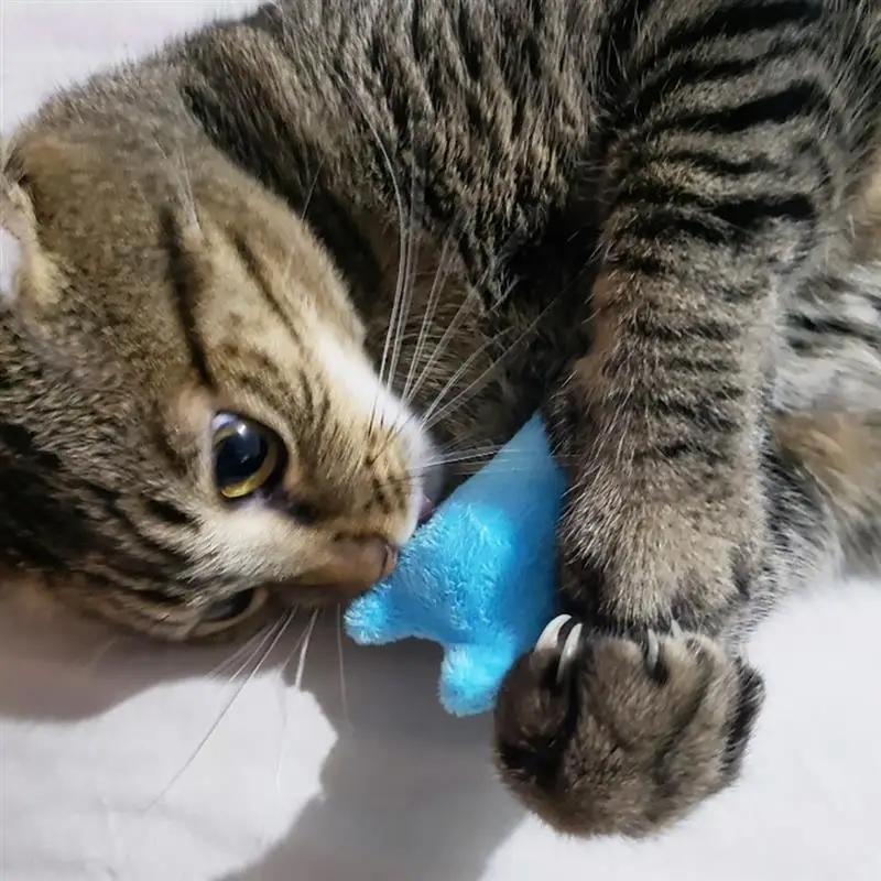 

2pcs/Set Cat Interactive Toy Premium Plush Bite-Resistant Catnip Toy Teeth Cleaning Kitten Chew Toy Sound Toy Soft Pet Supplies