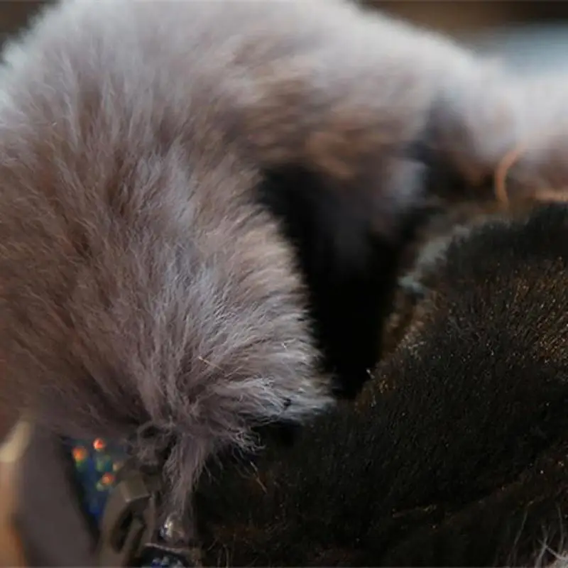 Детские зимние сапоги 2019 из искусственного меха для девочек детская хлопковая