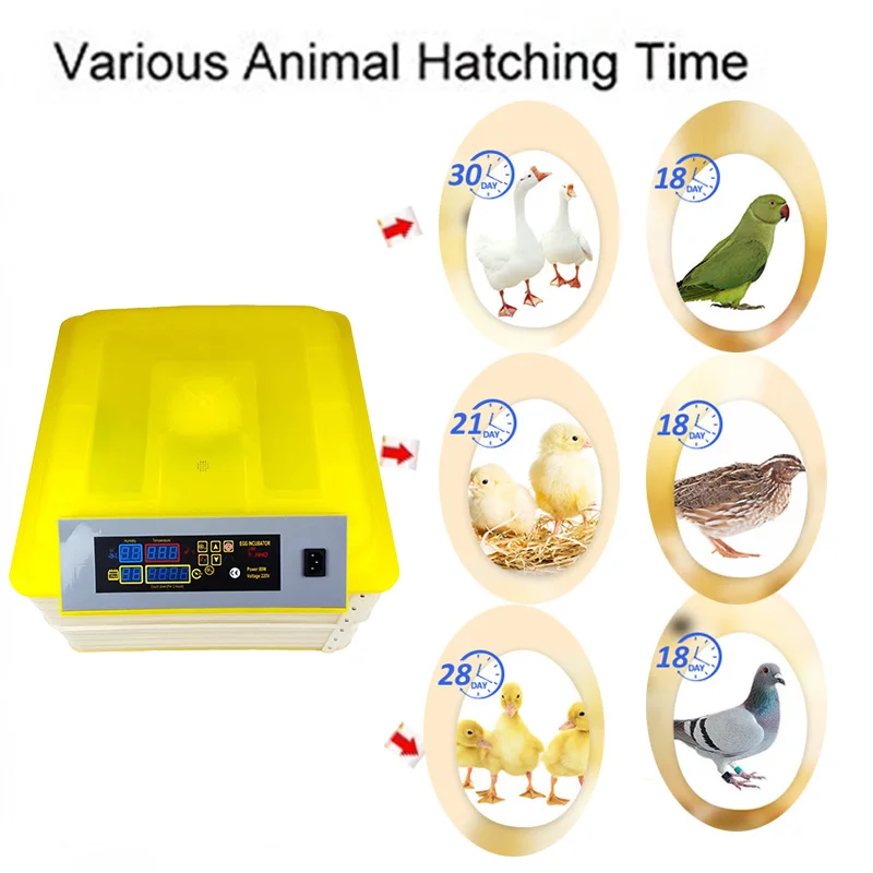 Новинка автоматический инкубатор 220 В 12 яиц ёмкость инкубатора с контролем