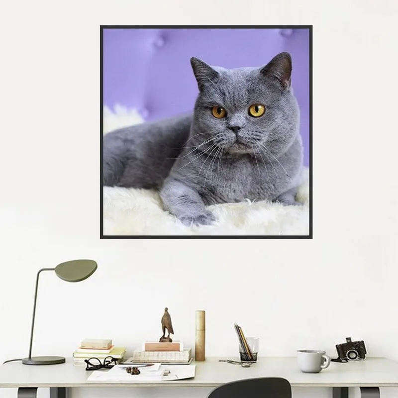 

5D DIY Diamond Painting Kits Cat Full Round With AB Drill Embroidery Art Cross Stitch Animals Rhinestones Mosaic Home Decor Gift