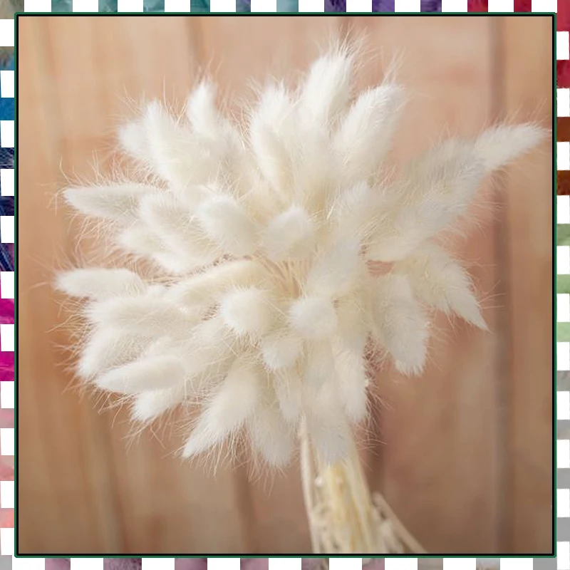 30 шт. сушеные цветы хвост кролика | Дом и сад