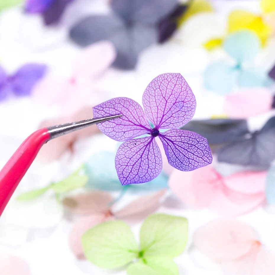 100pcs Fasting Dried Flowers 3D Nail Art Decorations Natural Floral Sticker Charms Nail Designs UV Gel Polish Accessories BE1505