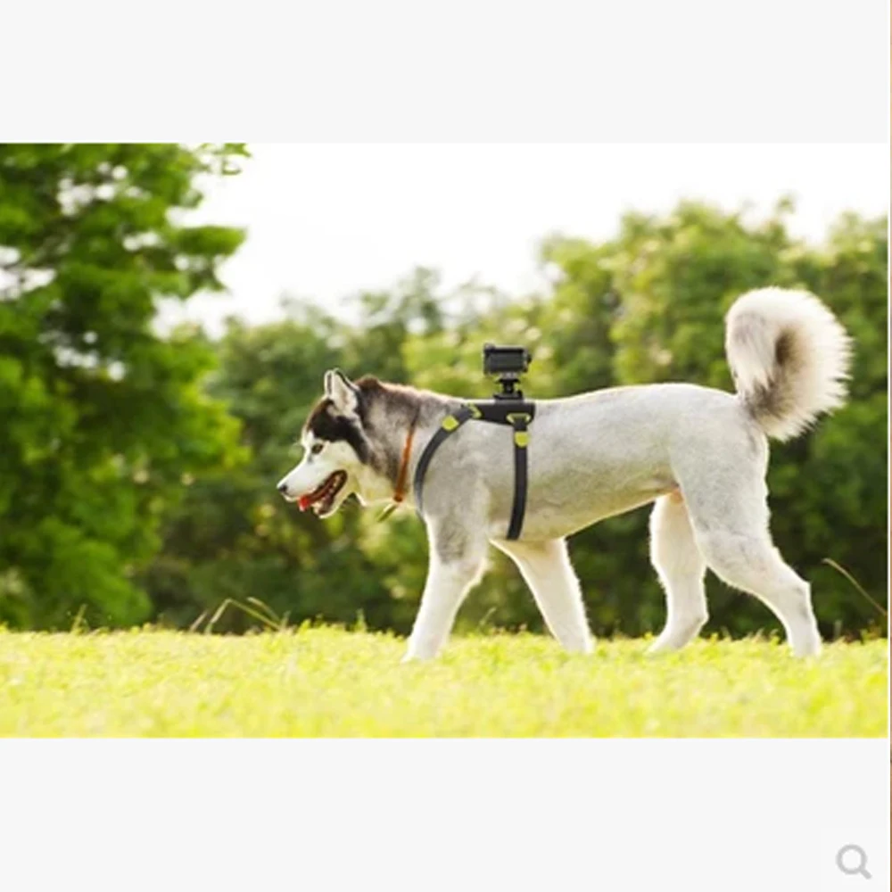Экшн камера с креплением для собак экшн Sony в виде камер функцией AS300V AS200V AS50V |Чехлы
