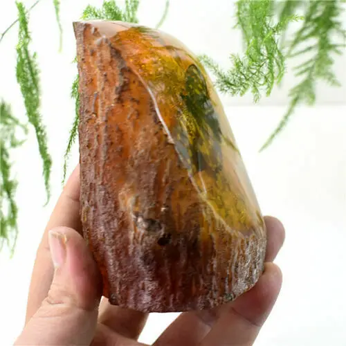 Декоративные элементы янтарного короля ископаемые растения насекомые