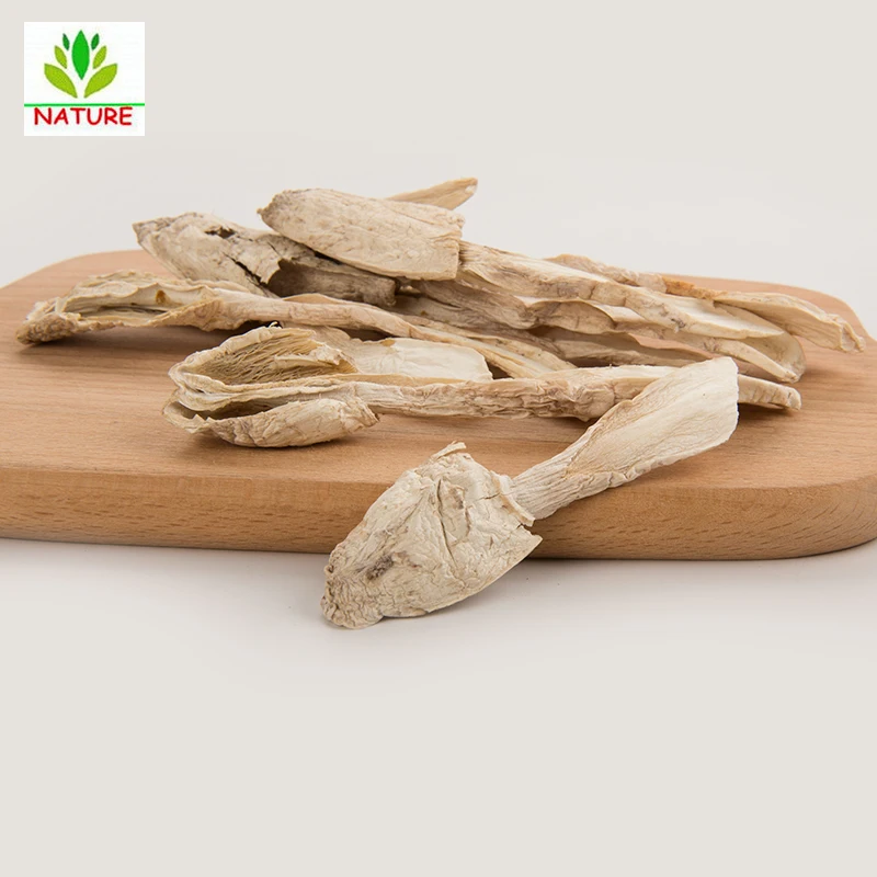 

Chinese Dried Mushroom Coprinus Comatus Mushroom