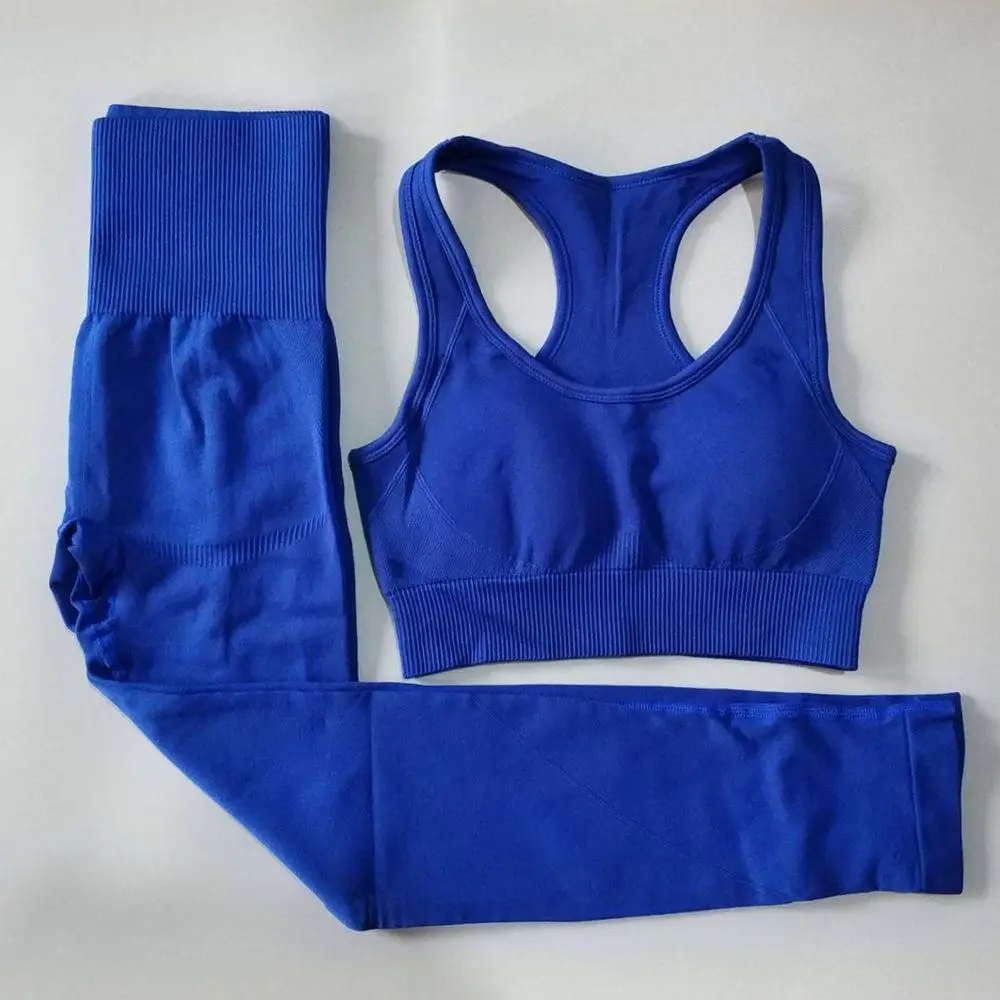 2 шт./комплект женские бесшовные леггинсы с высокой талией | Спорт и развлечения