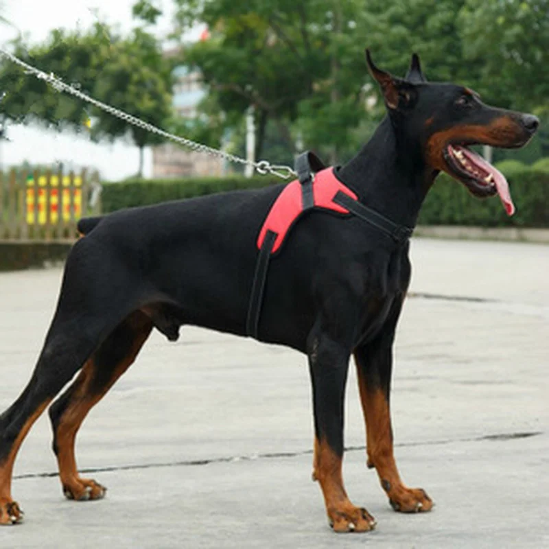 Новый удобный регулируемый маленький большой жилет для собак Светоотражающие