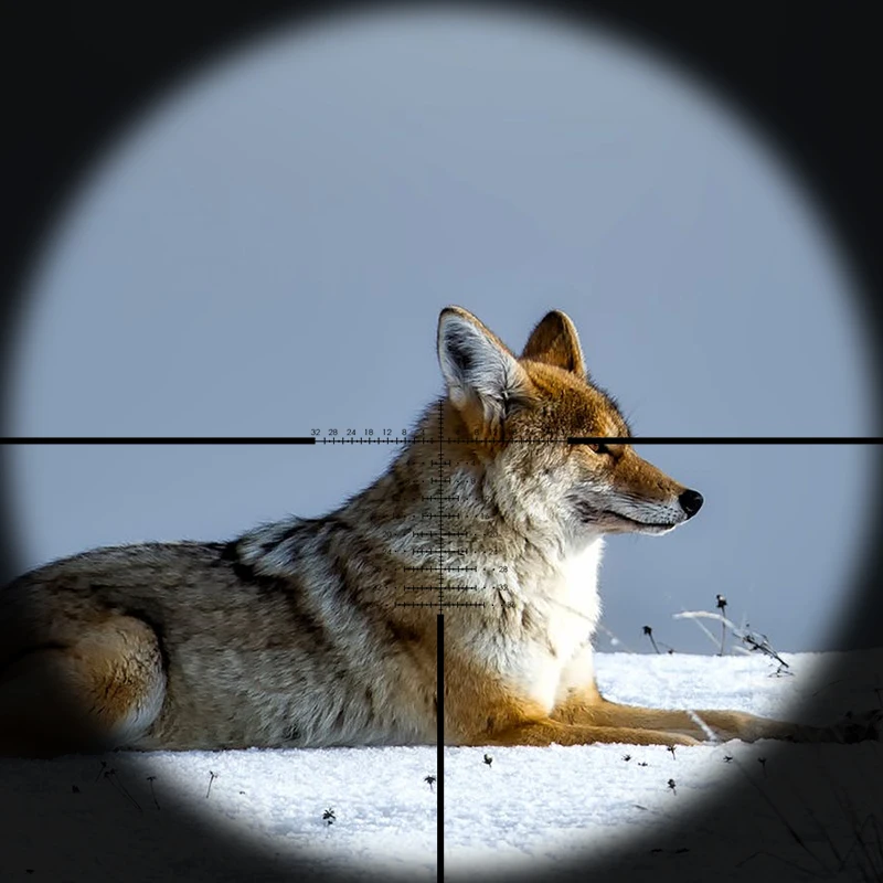 Тактический прицел Fire Wolf 10 40X56 для охоты винтовка со стеклом снайпера