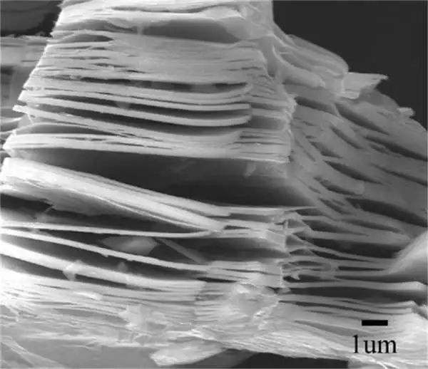 

Organ-like Ti3C2 MXenes material