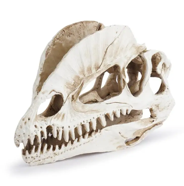 Dilophosaurus скелет модель смола для дома и офиса Хэллоуин украшение динозавры форма