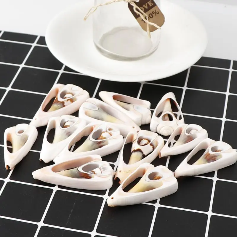 

60Pcs Natural Cowrie Shell Spiral Shells Slices Smooth Cut Beachh Seashells Bead