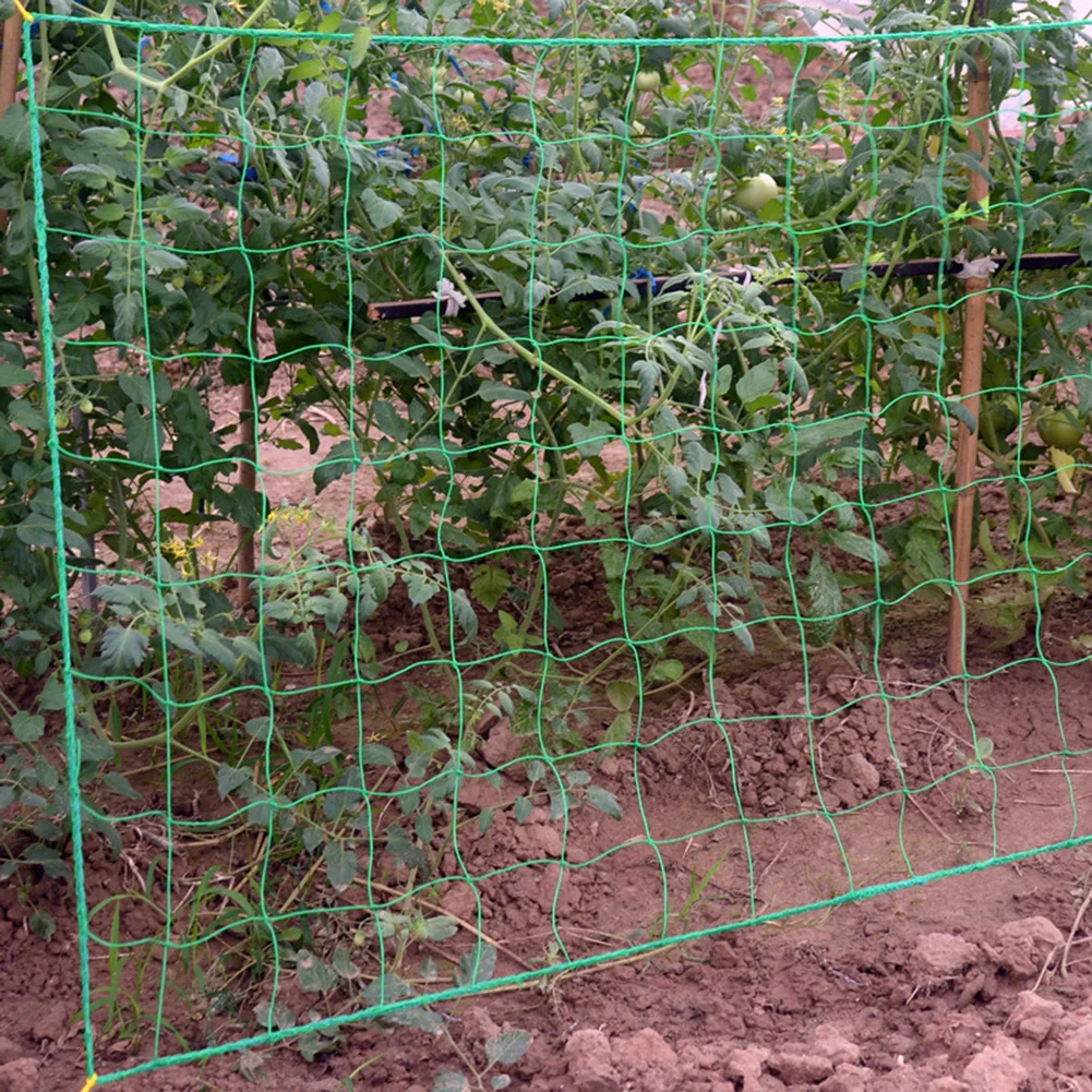 

80*180cm Climbing Frame Net Accessories Tool Garden Trellis Bean Plant