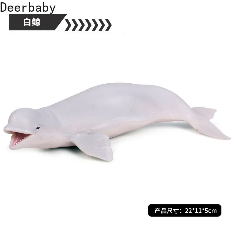 

Simulation of solid large beluga whale marine static plastic whale model toys for children cognitive early education props toys