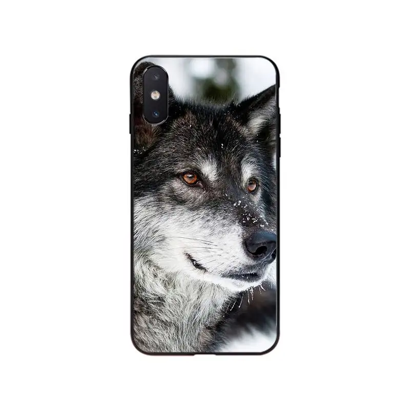 Чехол для Телефона iphone 12 7 8 Plus X XS Max XR чехол 5s SE 2020 6 6s 11Pro | Мобильные телефоны и