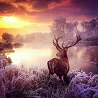 Алмазная 5D Вышивка Зимний Олень, сделай сам, полностью круглая алмазная живопись, набор для домашнего декора с животными