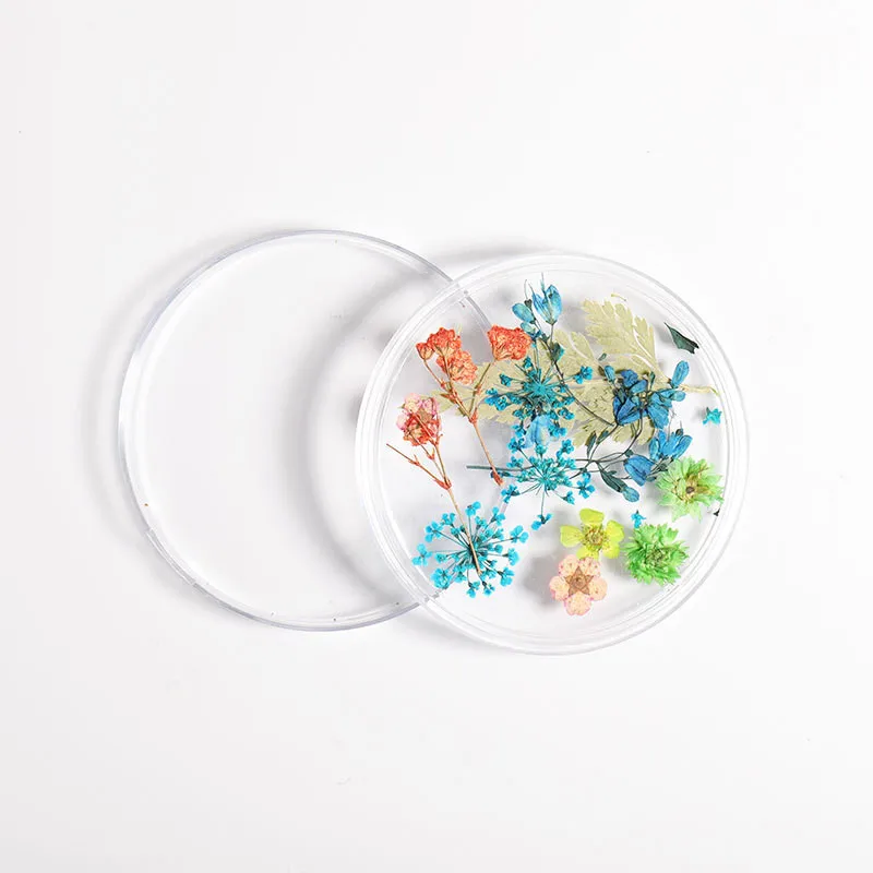 

New nail dried flowers natural beautiful flowers eternal nails petals nail jewelry nails mixed dried flowers nail decorations