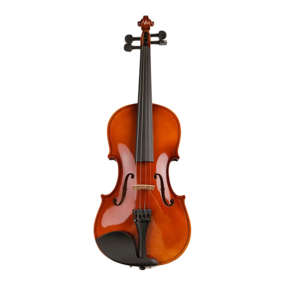 

Adults Strings Violin 4/4 Case Bow Violin Tools Accessories Kit Maple Wood Pickup Old Spruce Instrumentos Musicales Music HX50TQ