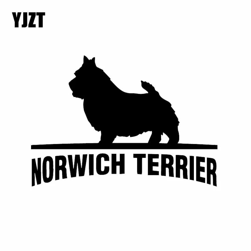 

YJZT 15X10.6CM Norwich Terrier Vinyl Decal Car Sticker Funny Pet Dog Breed Black/Silver C24-1536