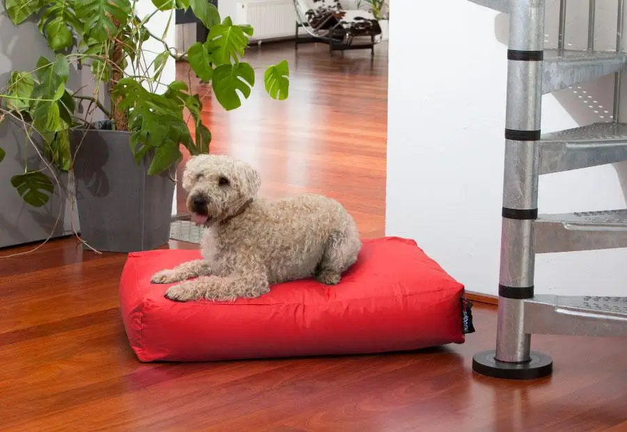 Красная очень большая подушка для собачьей бобы кровать кошки собаки мягкая