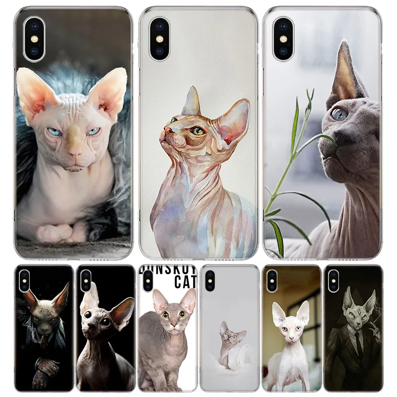 

Sphynx Cat Phone Case For iPhone 13 12 11 Pro Max 6 X 8 6S 7 Plus XS XR Mini 5S SE 7P 6P Pattern Cover Coque