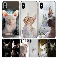 sphynx cat phone case for iphone 13 12 11 pro max 6 x 8 6s 7 plus xs xr mini 5s se 7p 6p pattern cover coque