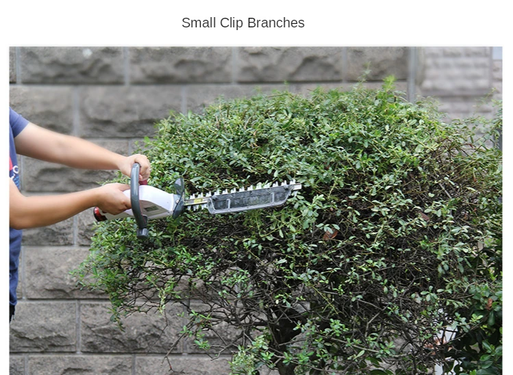 

Electric pruning shears, tea pruning machine, tea picking machine, hedge shears, 12V lithium battery, rechargeable hedge trimmer